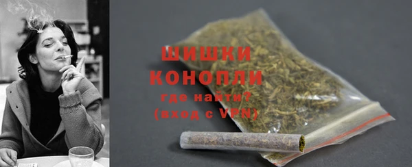 шишки Богданович