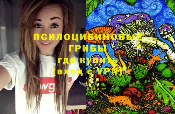 mix Бородино