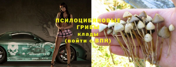 шишки Богданович