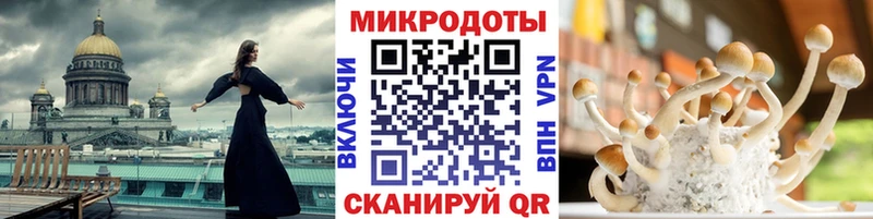 Псилоцибиновые грибы GOLDEN TEACHER  как найти   Гудермес 