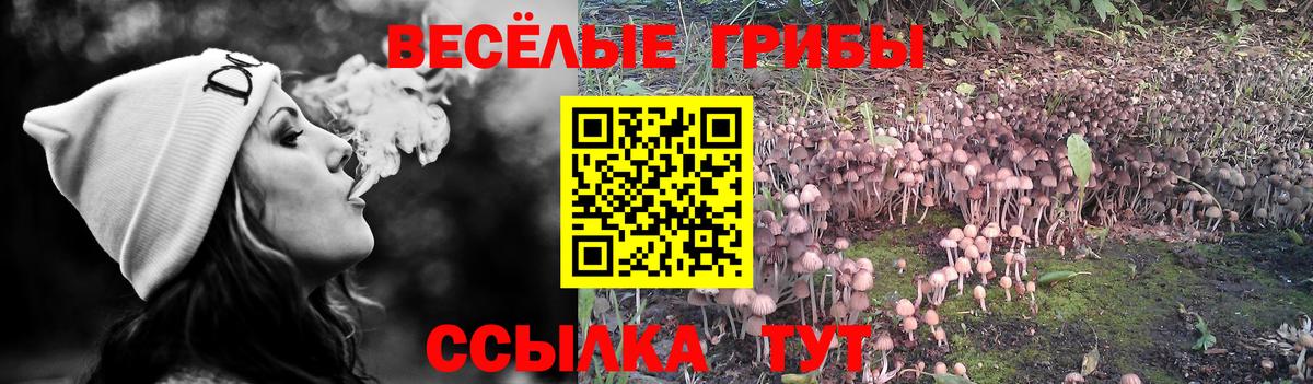 Галлюциногенные грибы MAGIC MUSHROOMS  Вход с VPN  Псилоцибиновые грибы прущие грибы  Гудермес 