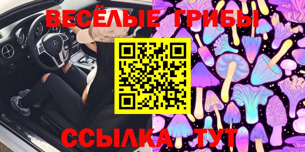 Галлюциногенные грибы GOLDEN TEACHER Гудермес
