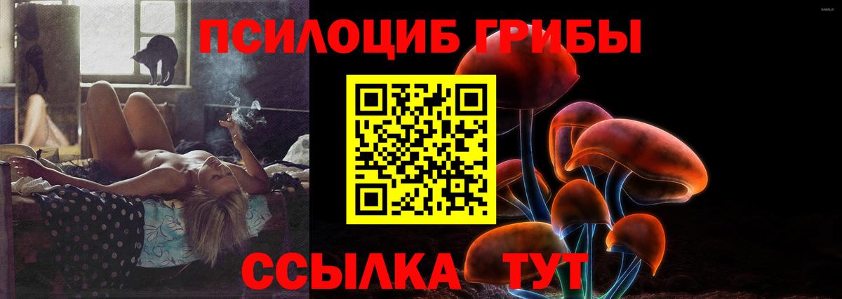 Галлюциногенные грибы мухоморы Гудермес